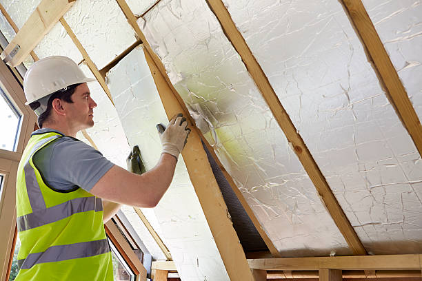 Best Insulation Maintenance and Repair in Joliet, IL